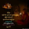 thayza704