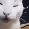 kimi_.0501