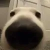 minhieu_76