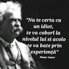 DIASPORA VOTEAZĂ BINE