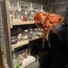 weasleywslytherinie