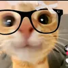 mimiyuh357