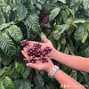 nguyn.duy.coffee
