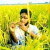 amirhamja6164
