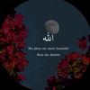 sabr222593