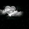 shahd.mahmoud2298