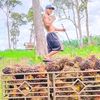 muhamad.fauzi151