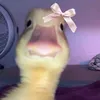 ᴛờ ᴍᴜɴ