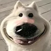 xiiiiiiiiiiiiran