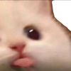 moonki456