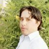 shahzadkhan1302442