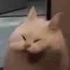 hihihiiu1111