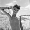 bay_ellis