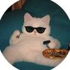 user4926o