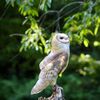 OhioBirdSanctuary