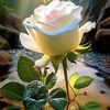 om.ahmad263