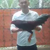 nhiem.tiengiang