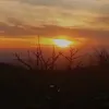 d._.d3n7