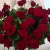 burcu.burcu00