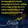 ruweedo12
