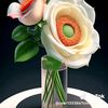 shahaud