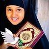 bashiir.bucul