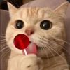 prettycat879