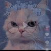 lesly.huallpatuer
