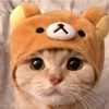 maew.meow199
