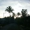 saripada8l