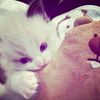 keyy_2711