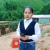 user91374261852433