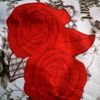 user1304625420072