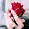 rahayu.940