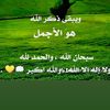 usemhamd86
