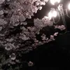 marie_45308