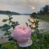 _maiha_97