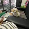 vananh_0721