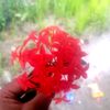 tamim.hossin536