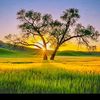 user155251815