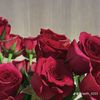 dilaismail88