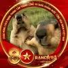 _quoc_anh3