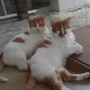 ftimavasconcelos83