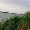 user5192477202302