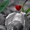 azizafatha2