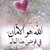 user3715396031016