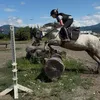 sunny_reiten_pfms
