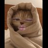 ha_fiza38