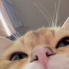 wwwyyyyyuu