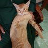 rahasia.0604